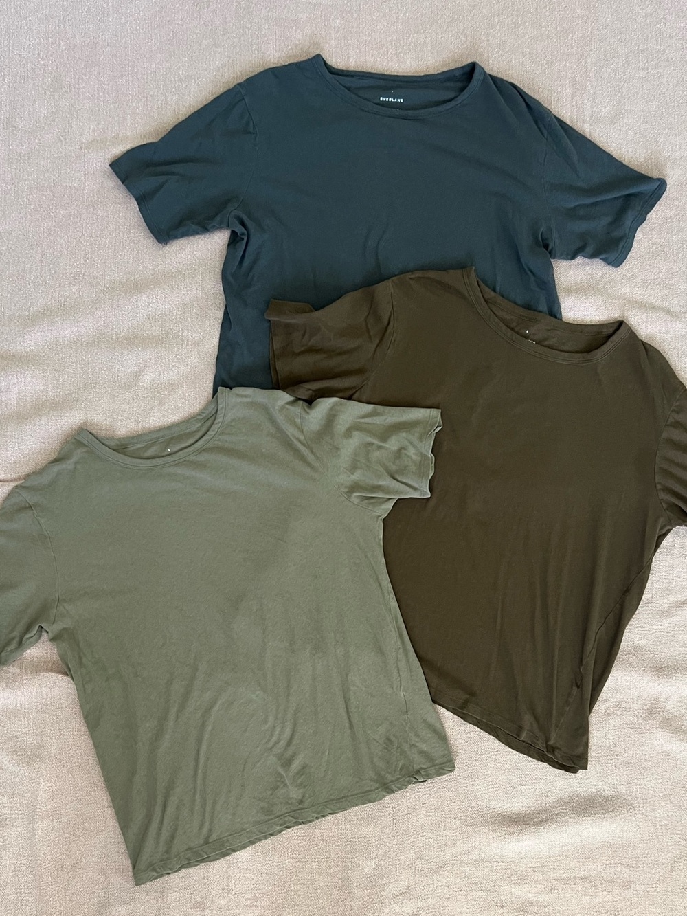 Everlane Short Sleeve Tee Trio in Olive, Dark Green, and Teal